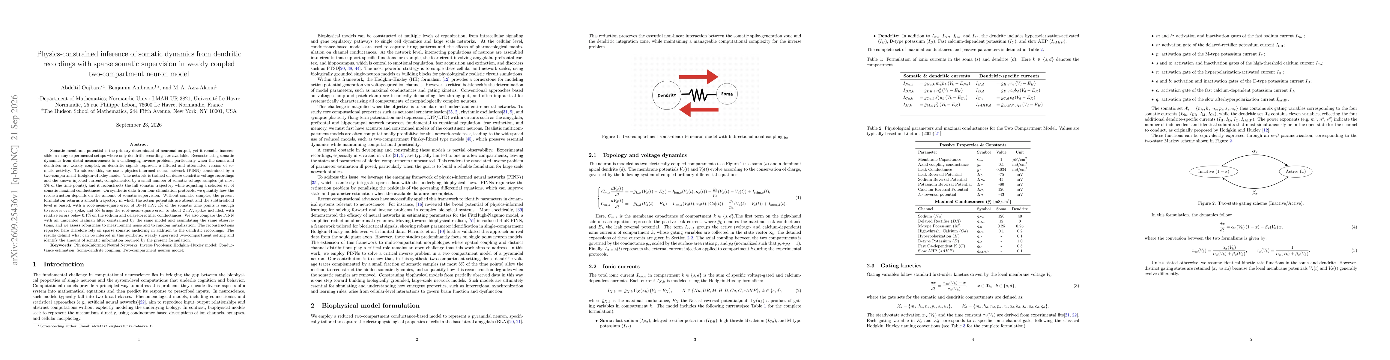 Thumbnail for Physics-constrained inference of somatic dynamics from dendritic recordings with sparse somatic supervision in weakly coupled two-compartment neuron model