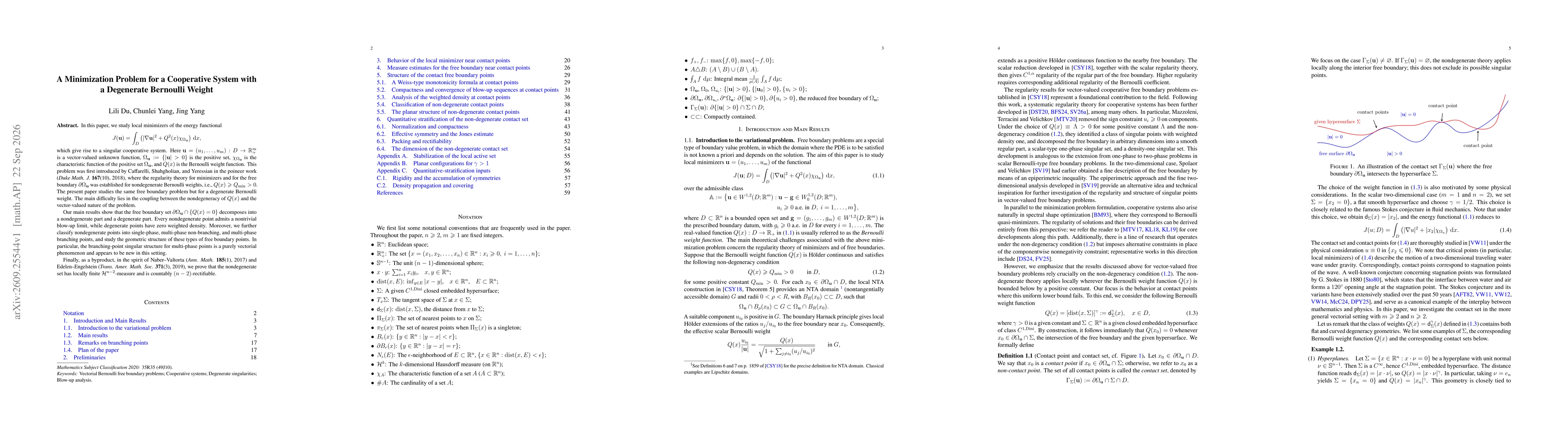 Thumbnail for A minimization problem for a cooperative system with a degenerate Bernoulli weight