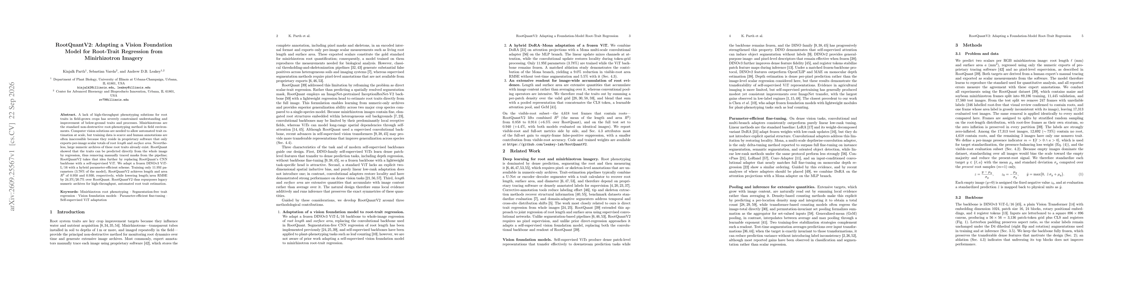Thumbnail for RootQuantV2: Adapting a Vision Foundation Model for Root-Trait Regression from Minirhizotron Imagery