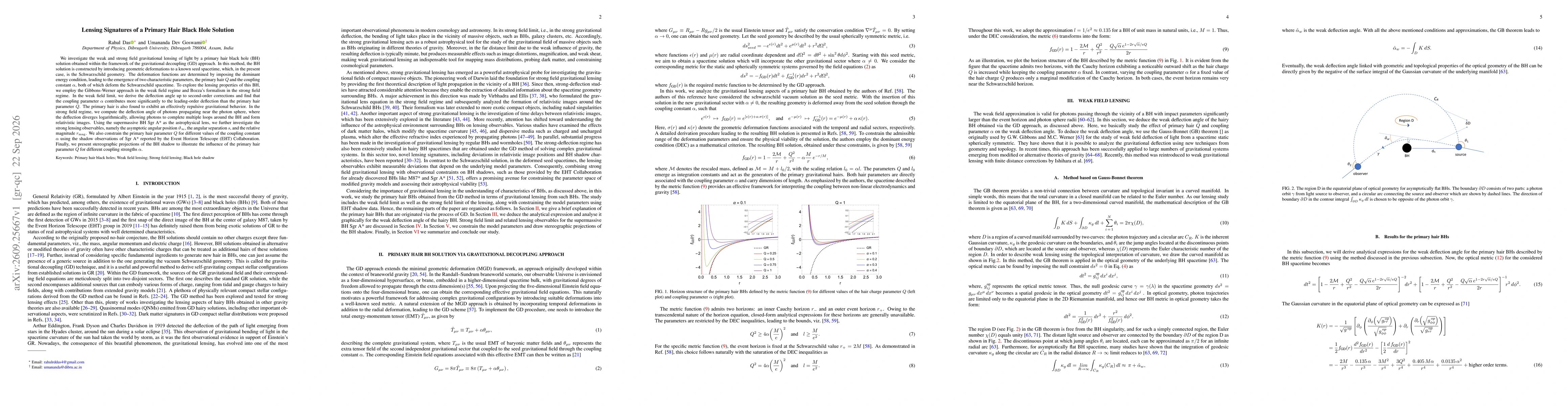 Thumbnail for Lensing Signatures of a Primary Hair Black Hole Solution