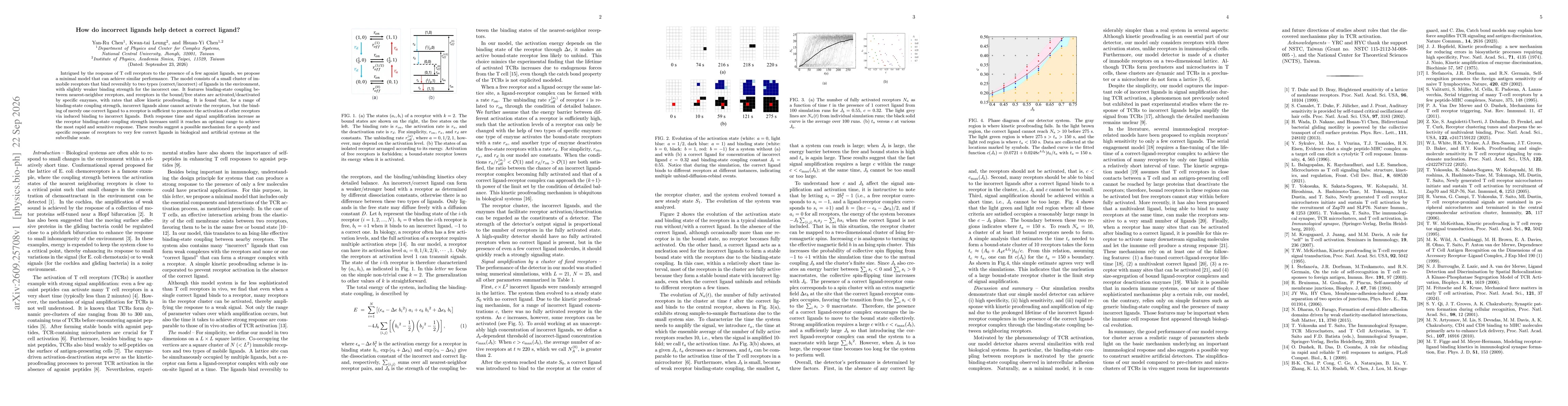 Thumbnail for How do incorrect ligands help detect a correct ligand?