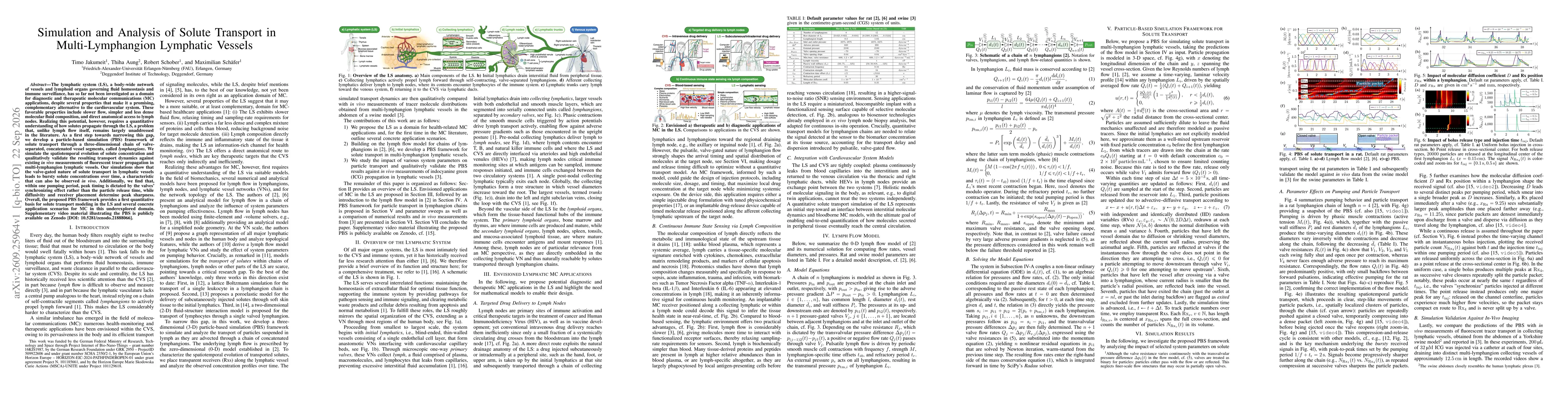 Thumbnail for Simulation and Analysis of Solute Transport in Multi-Lymphangion Lymphatic Vessels