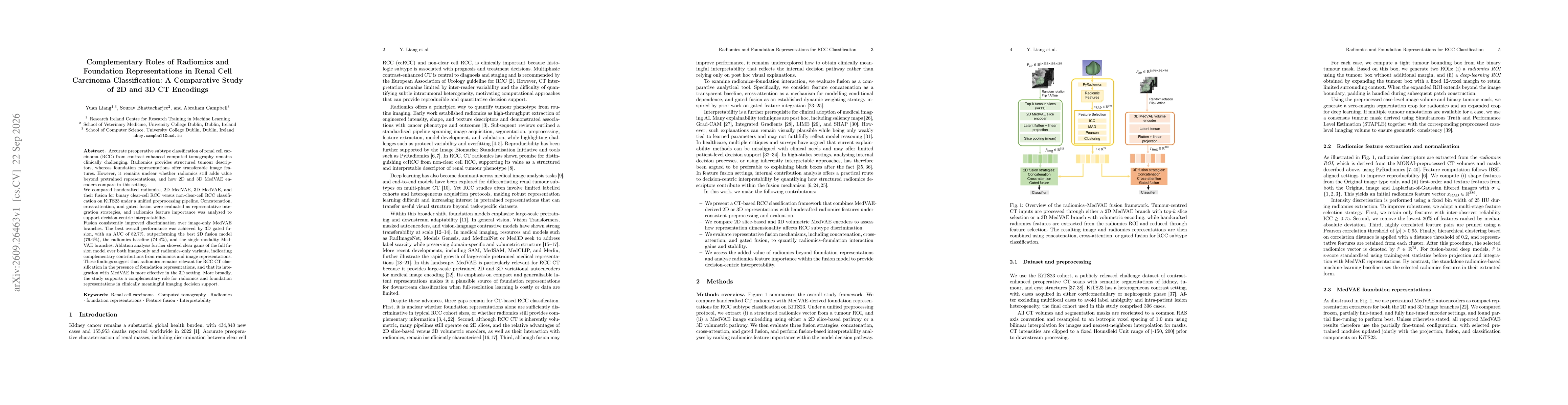 Thumbnail for Complementary Roles of Radiomics and Foundation Representations in Renal Cell Carcinoma Classification: A Comparative Study of 2D and 3D CT Encodings