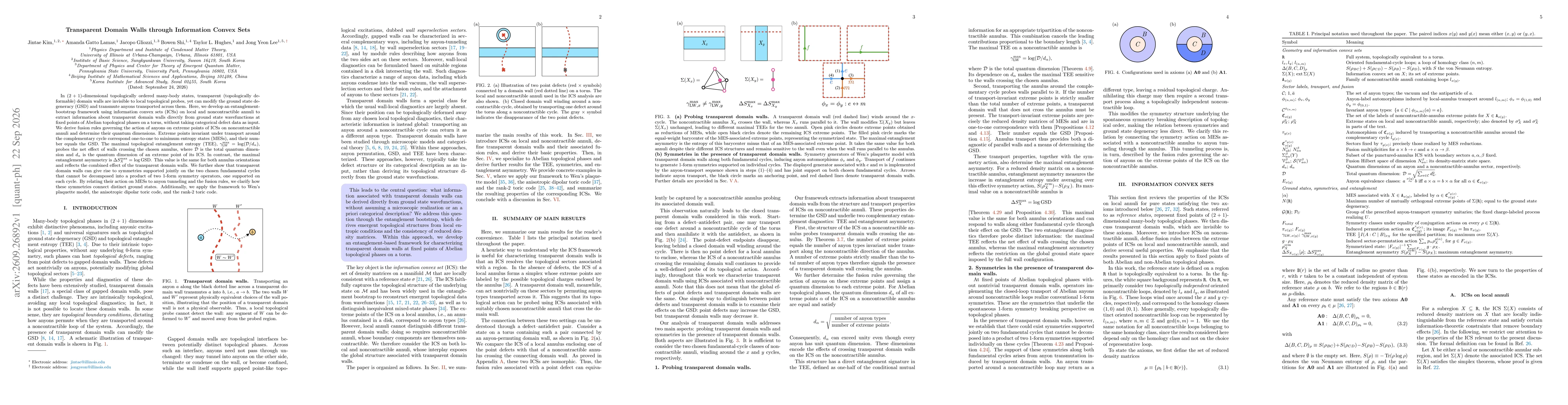 Thumbnail for Transparent Domain Walls through Information Convex Sets
