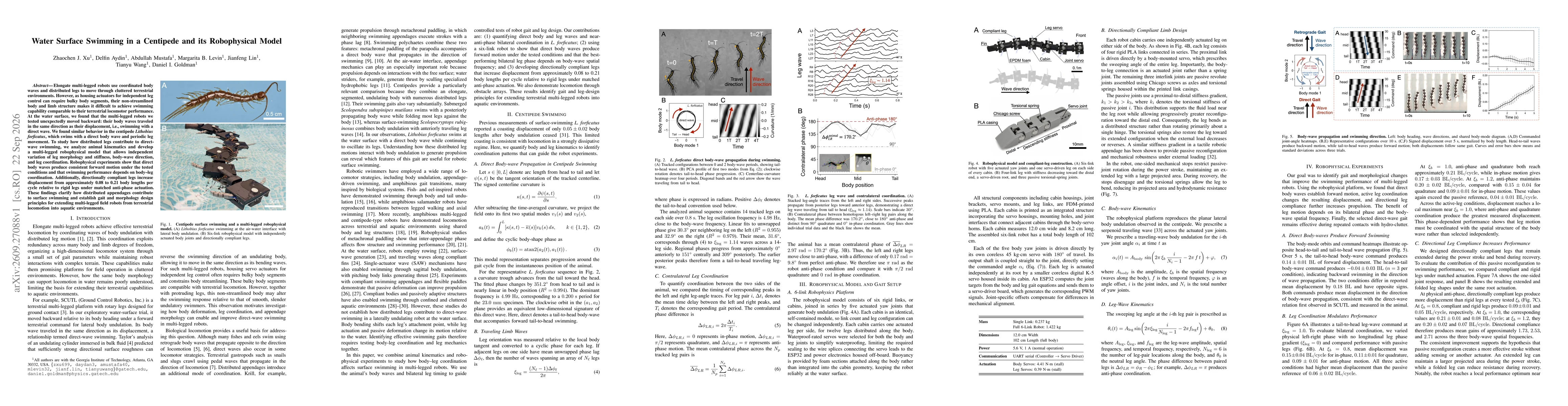 Thumbnail for Water Surface Swimming in a Centipede and its Robophysical ModeL