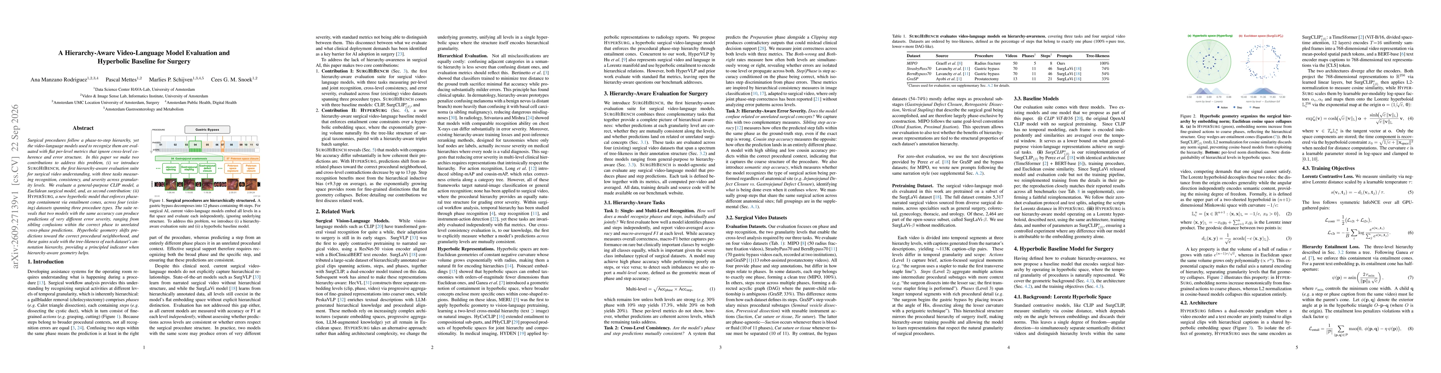Thumbnail for A Hierarchy-Aware Video-Language Model Evaluation and Hyperbolic Baseline for Surgery