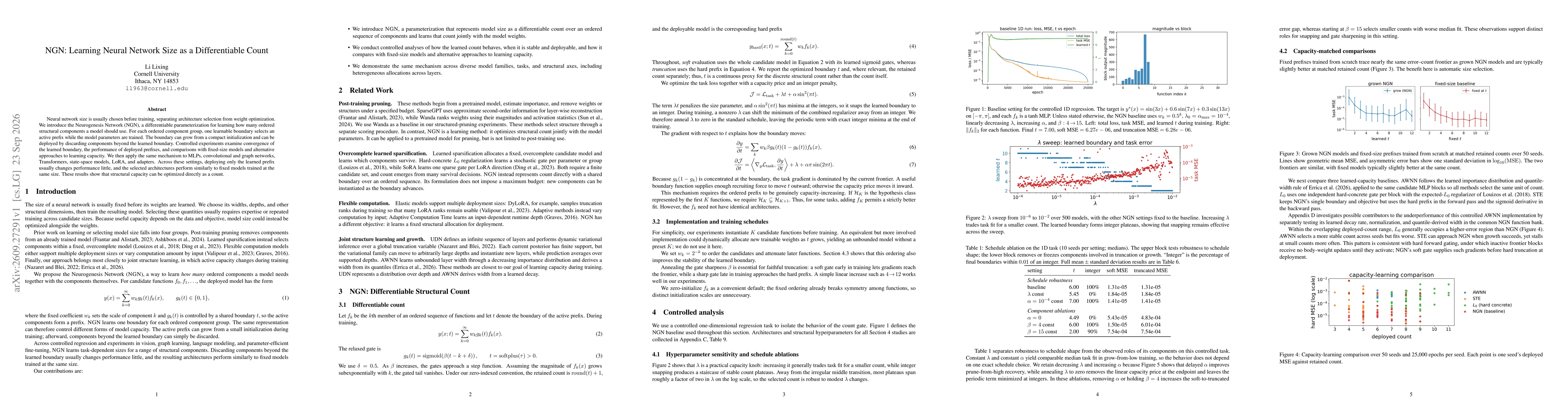 Thumbnail for NGN: Learning Neural Network Size as a Differentiable Count