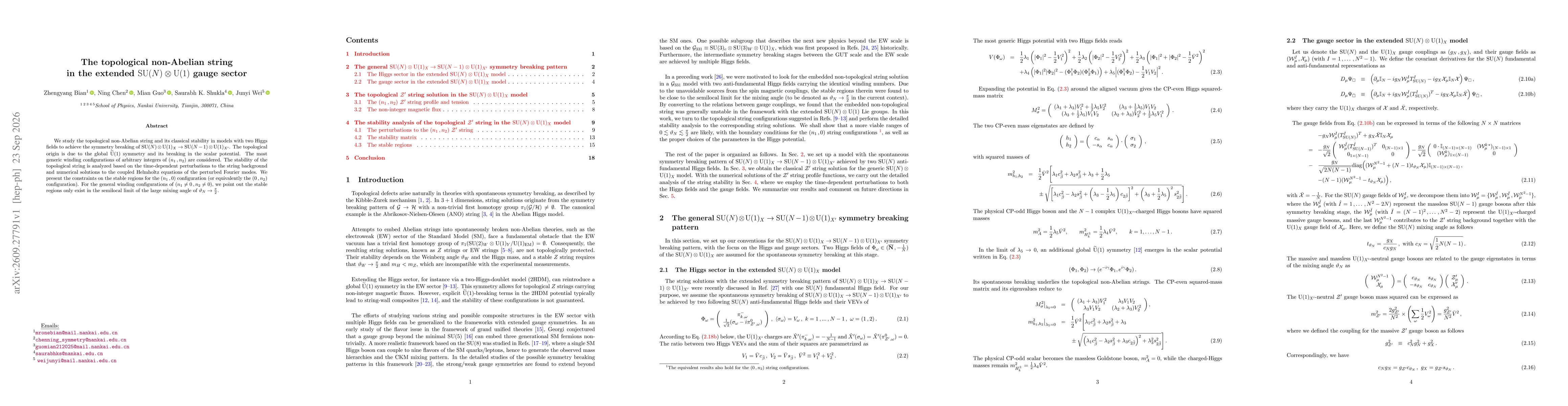 Thumbnail for The topological non-Abelian string in the extended ${\rm SU}(N) \otimes {\rm U}(1)$ gauge sector