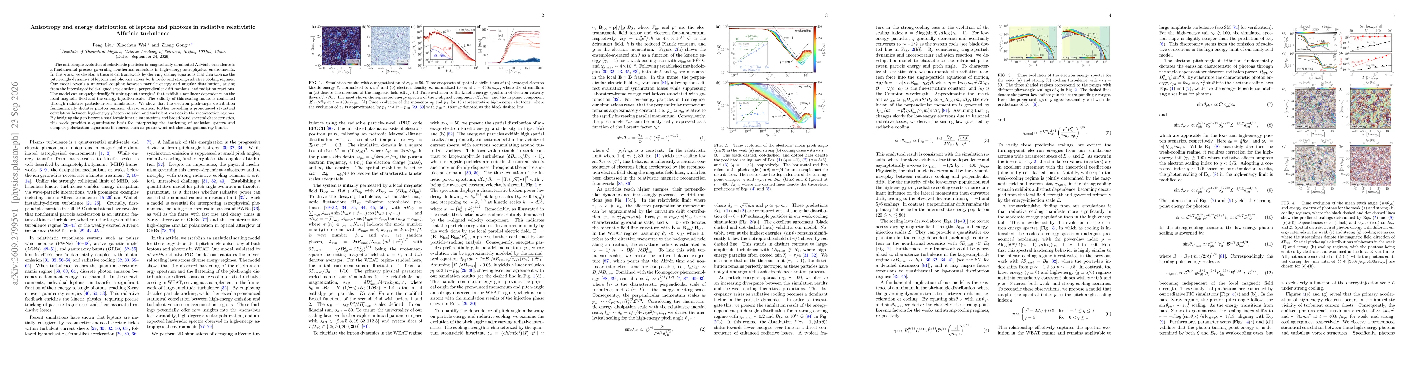 Thumbnail for Anisotropy and energy distribution of leptons and photons in radiative relativistic Alfvénic turbulence