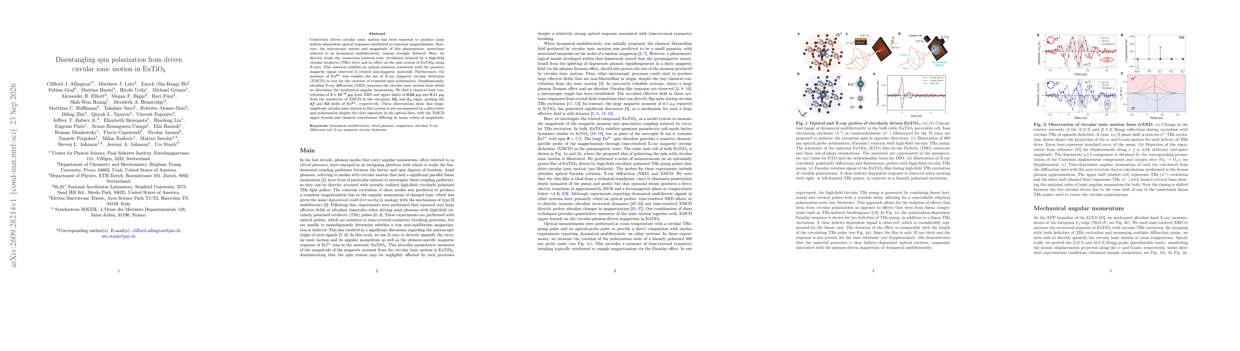 Thumbnail for Disentangling spin polarization from driven circular ionic motion in EuTiO$_3$