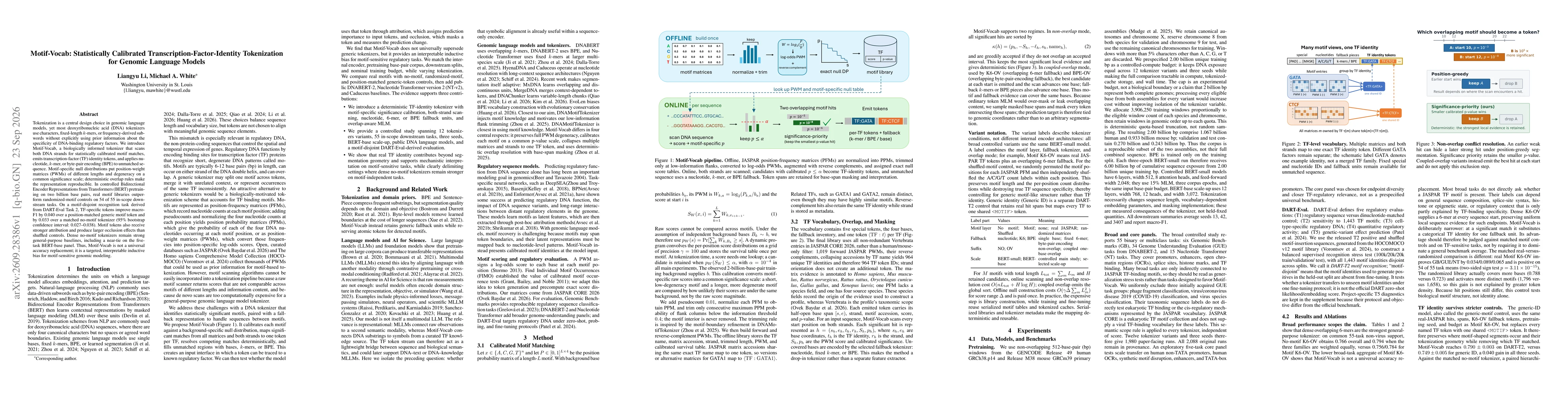 Thumbnail for Motif-Vocab: StatisticallyCalibrated Transcription-Factor-Identity Tokenization forGenomic Language Models