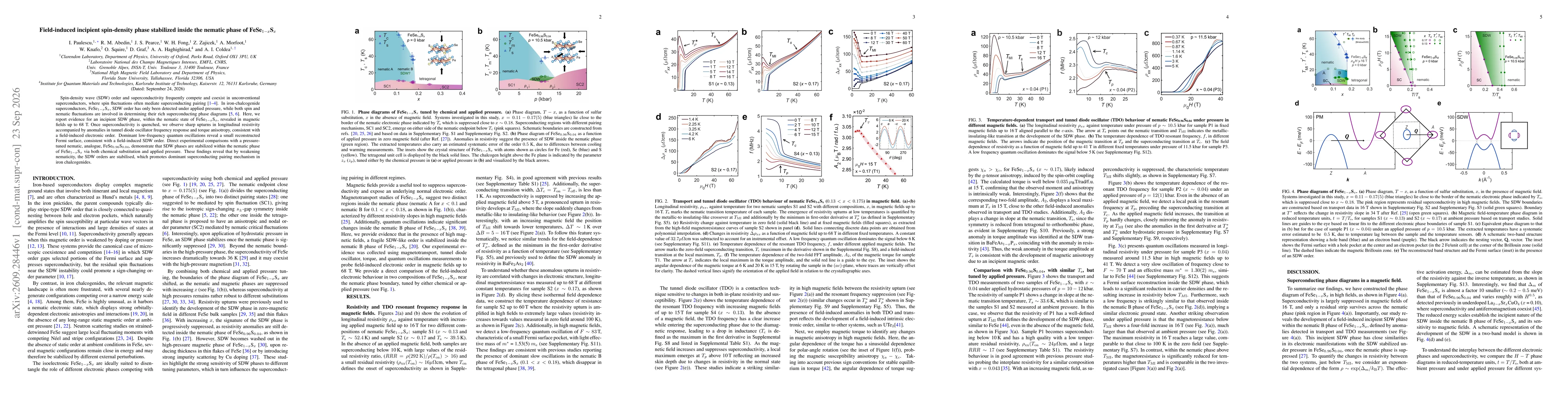Thumbnail for Field-induced incipient spin-density phase stabilized inside the nematic phase of FeSe$_{1-x}$S$_x$