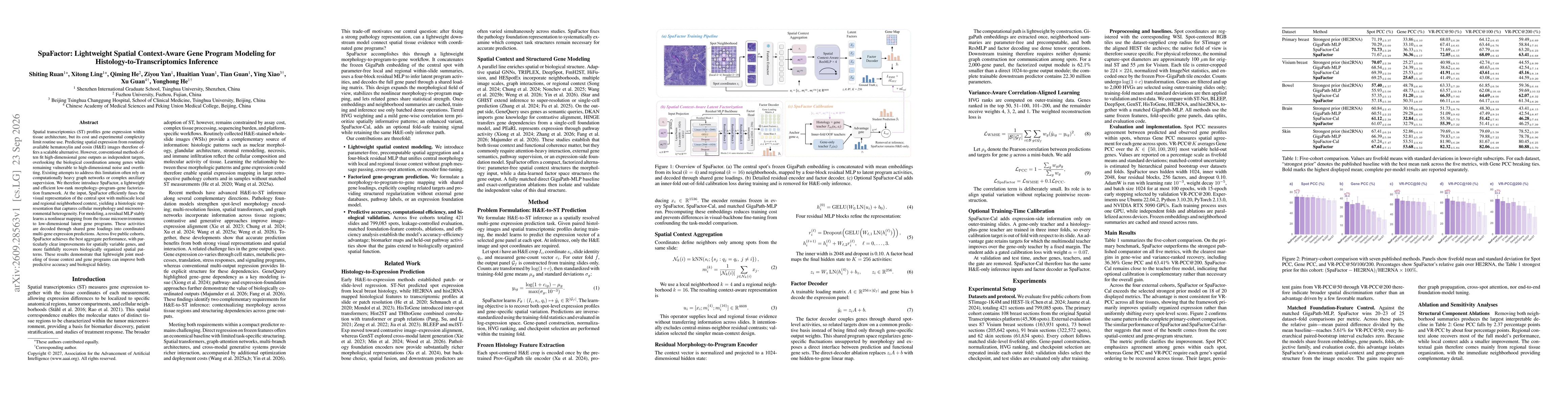 Thumbnail for SpaFactor: Lightweight Spatial Context-Aware Gene Program Modeling for Histology-to-Transcriptomics Inference