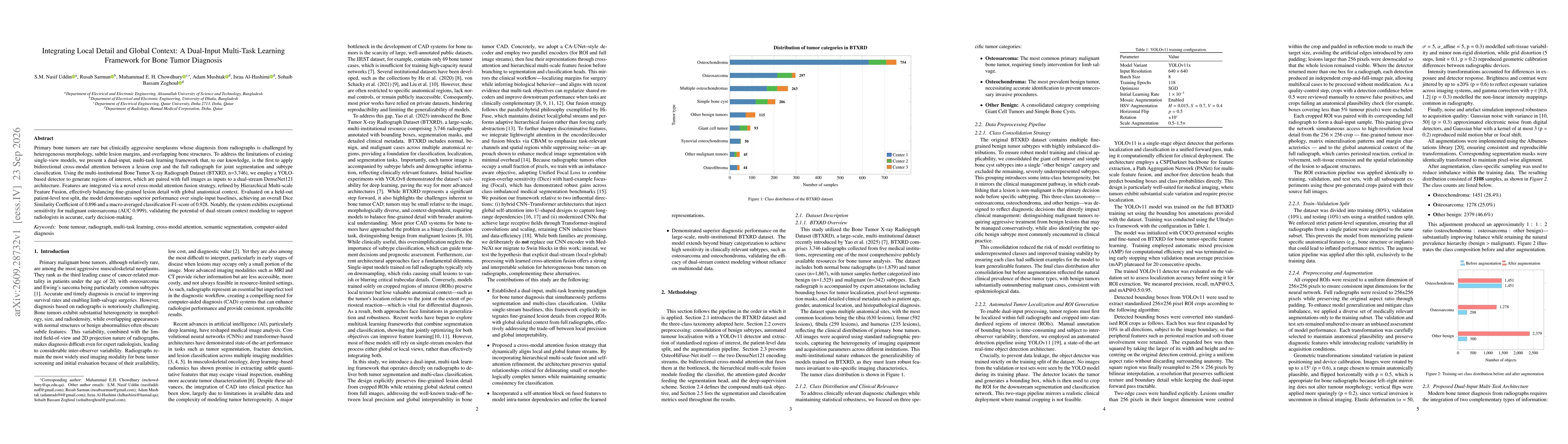 Thumbnail for Integrating Local Detail and Global Context: A Dual-Input Multi-Task Learning Framework for Bone Tumor Diagnosis
