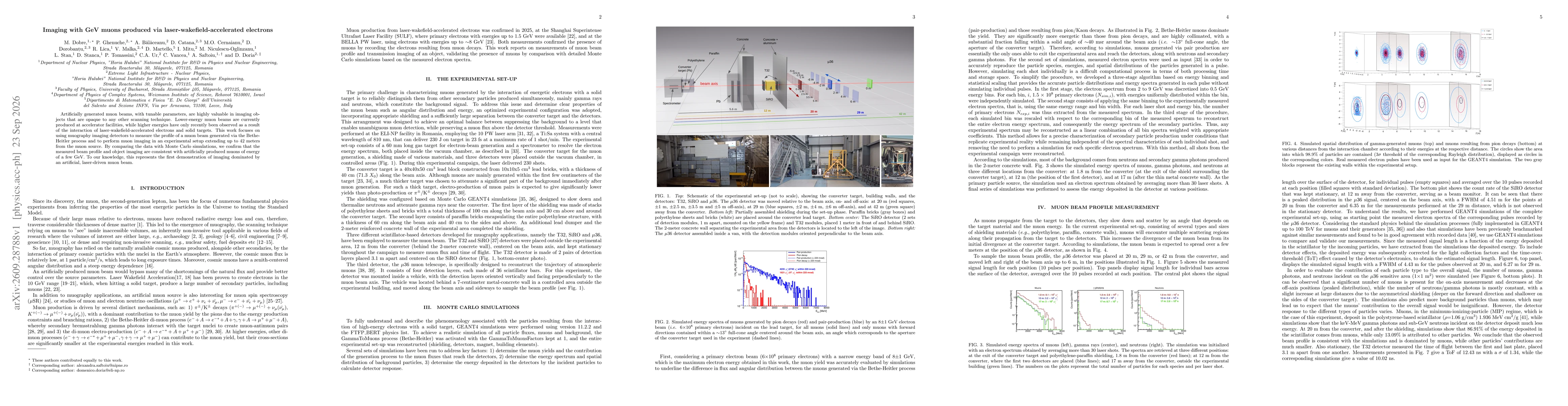 Thumbnail for Imaging with GeV muons produced via laser-wakefield-accelerated electrons