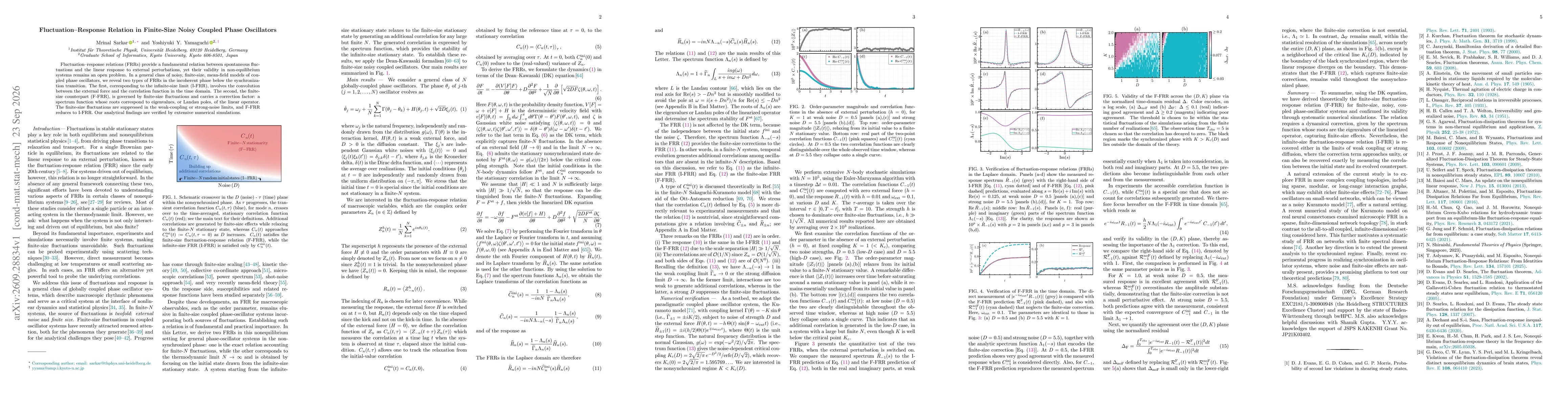 Thumbnail for Fluctuation--Response Relation in Finite-Size Noisy Coupled Phase Oscillators