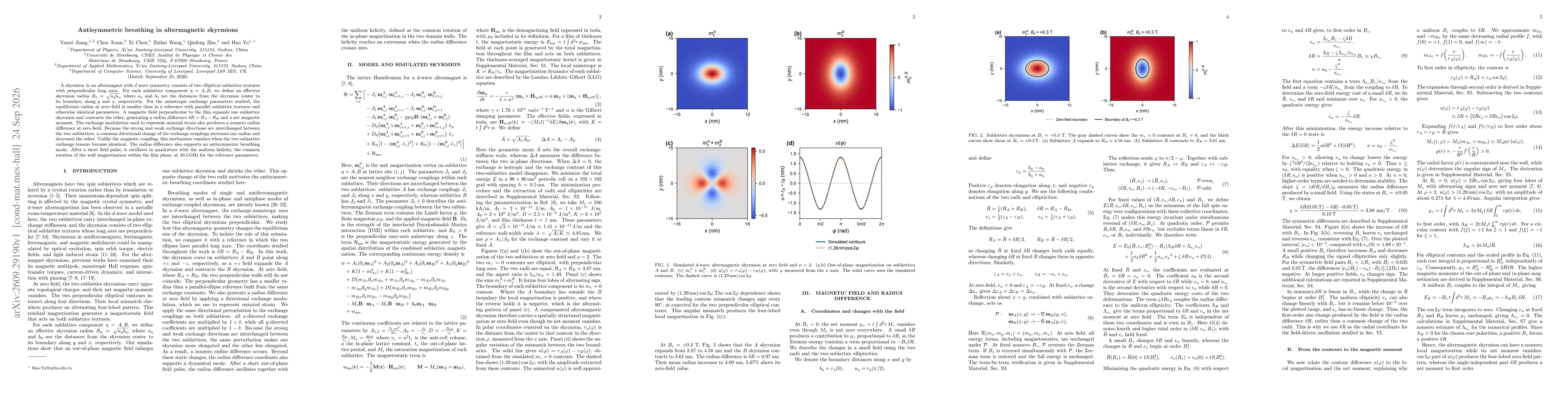 Thumbnail for Antisymmetric breathing in altermagnetic skyrmions