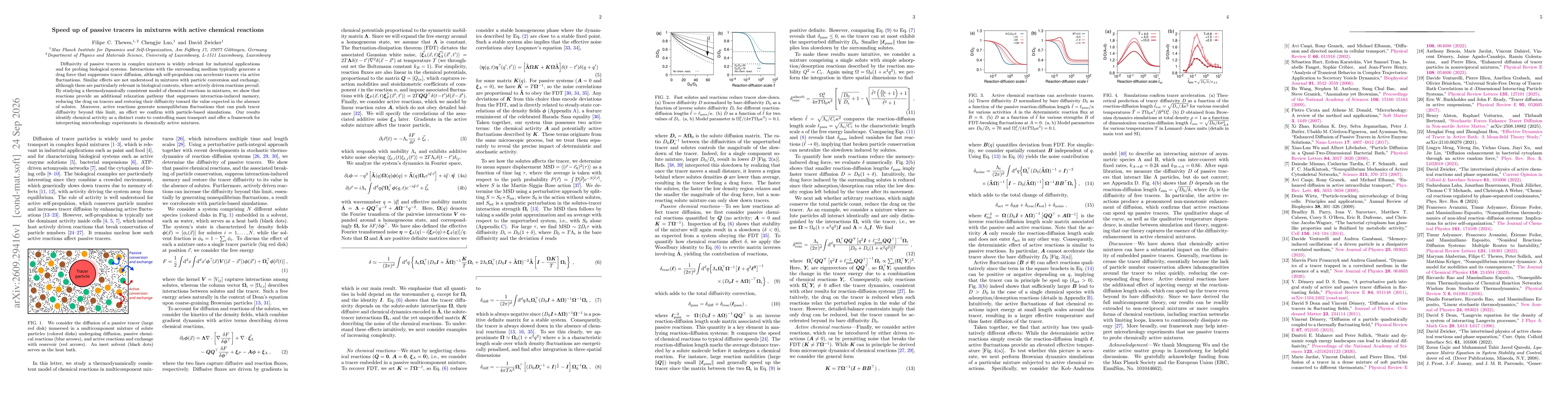 Thumbnail for Speed up of passive tracers in mixtures with active chemical reactions