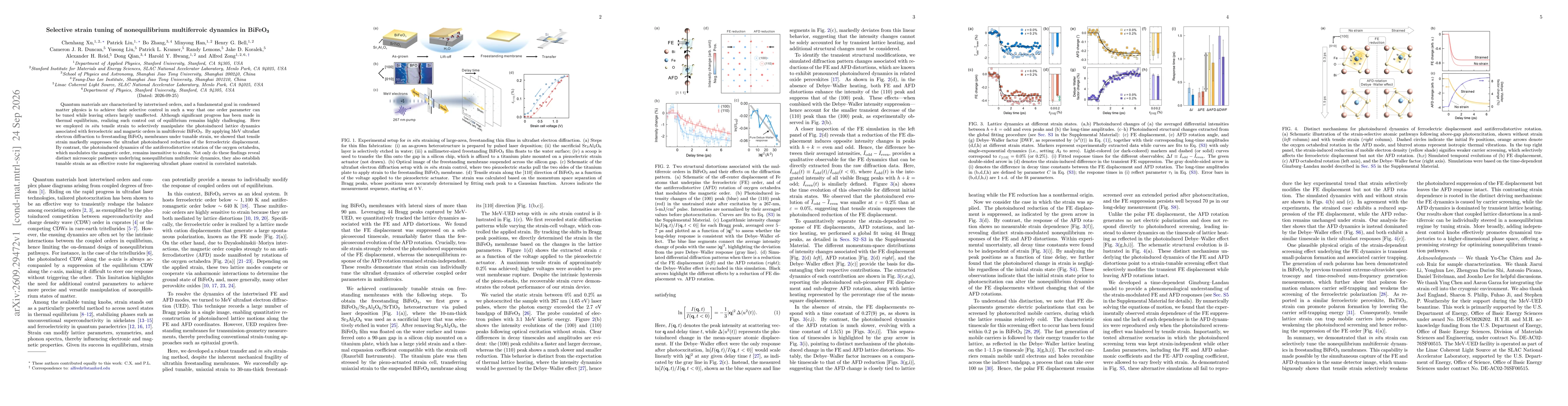 Thumbnail for Selective strain tuning of nonequilibrium multiferroic dynamics in BiFeO$_\text3$