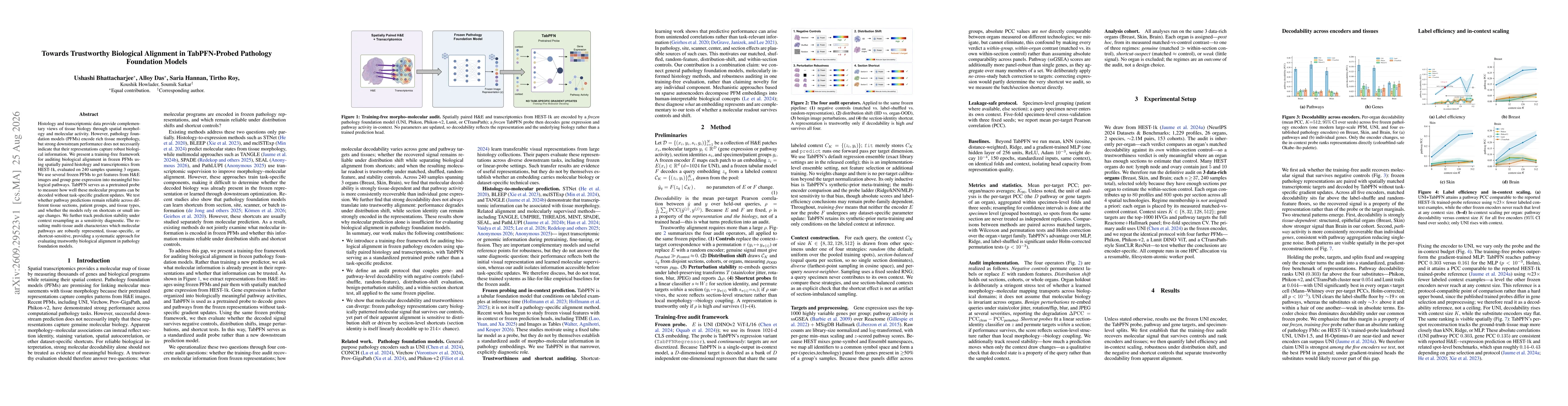 Thumbnail for Towards Trustworthy Biological Alignment in TabPFN-Probed Pathology Foundation Models
