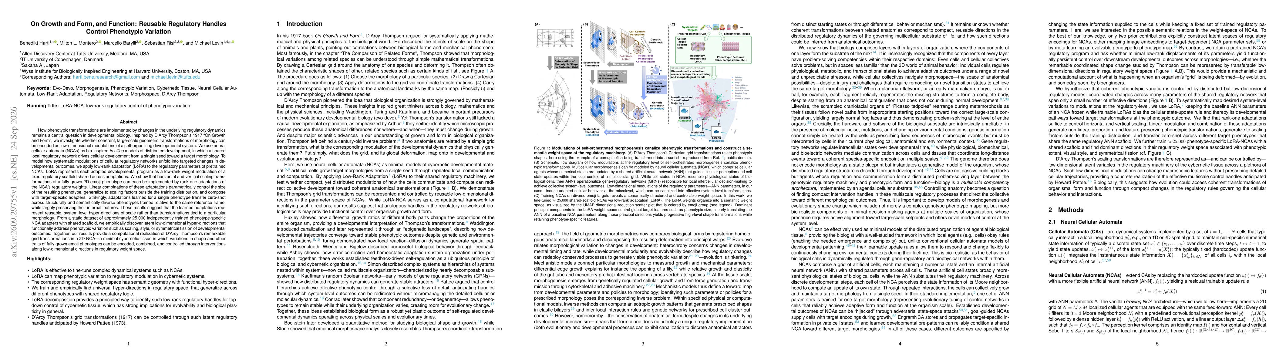 Thumbnail for On Growth and Form, and Function: Reusable Regulatory Handles Control Phenotypic Variation