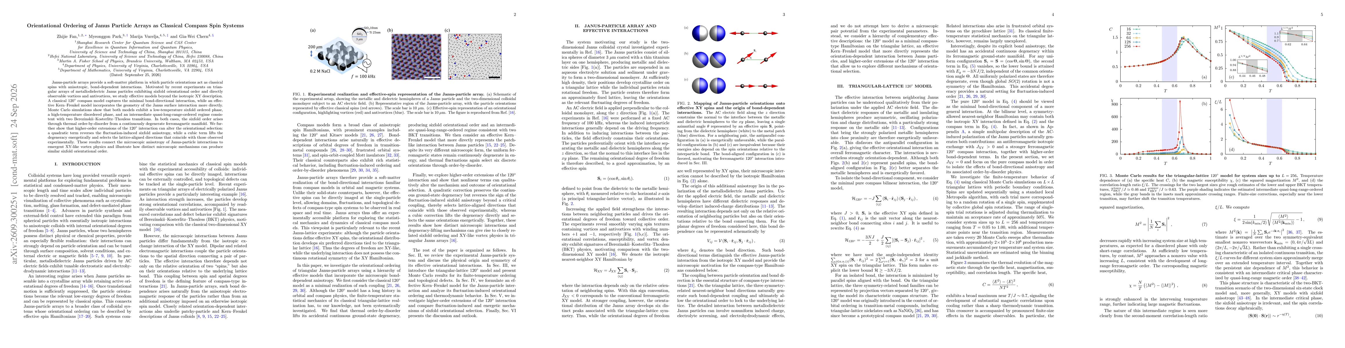 Thumbnail for Orientational Ordering of Janus Particle Arrays as Classical Compass Spin Systems