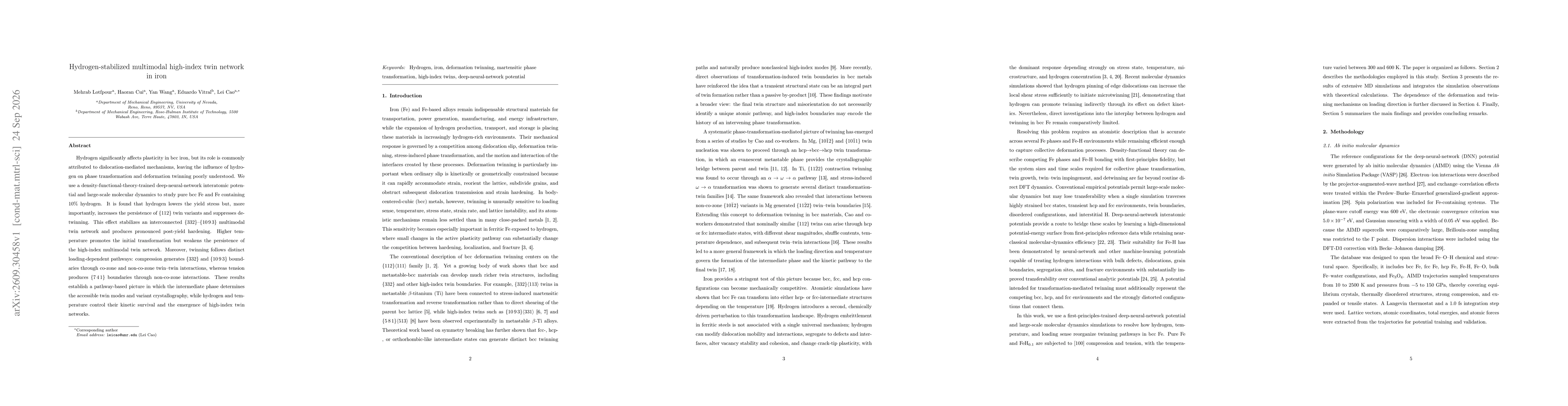 Thumbnail for Hydrogen-stabilized multimodal high-index twin network in iron