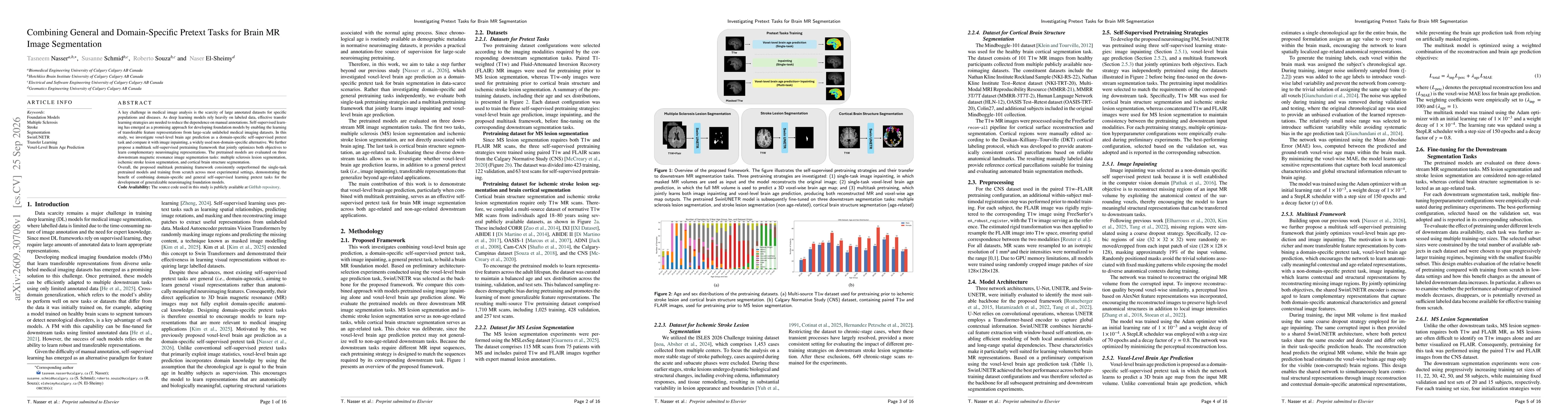 Thumbnail for Combining General and Domain-Specific Pretext Tasks for Brain MR Image Segmentation
