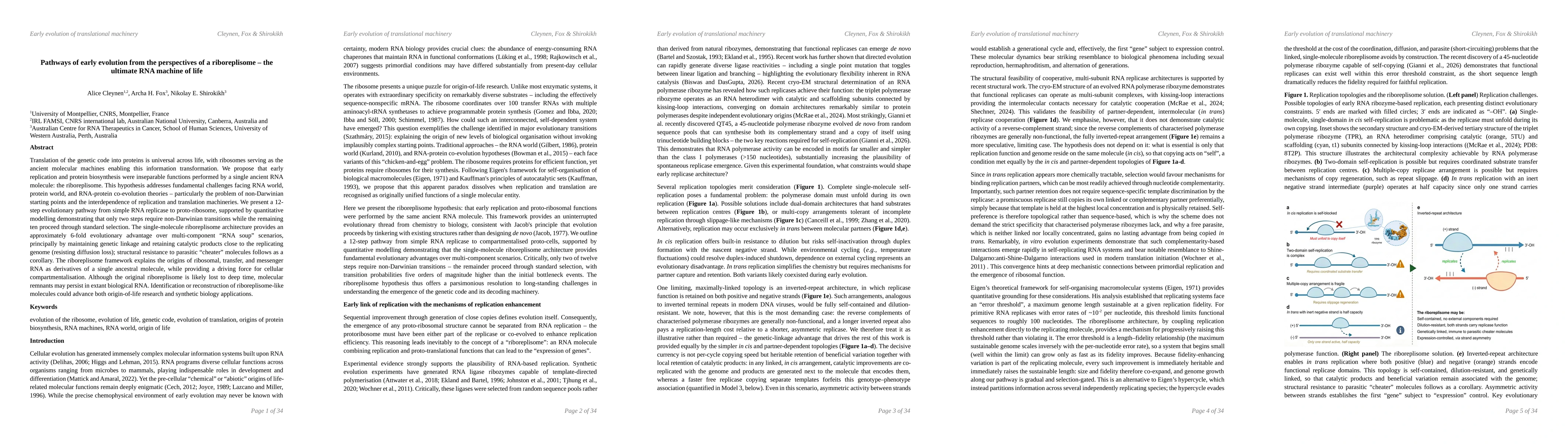 Thumbnail for Pathways of early evolution from the perspectives of a riboreplisome -- the ultimate RNA machine of life