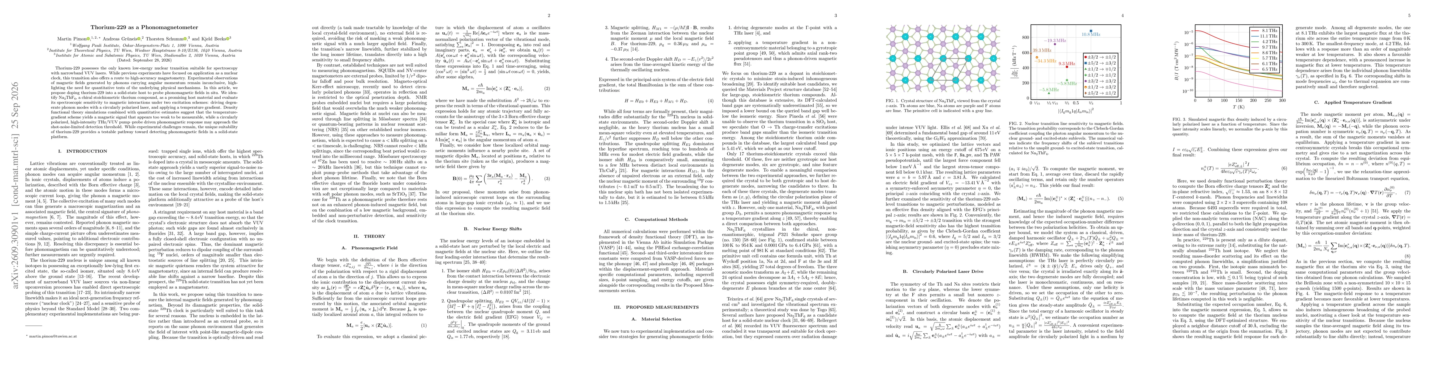 Thumbnail for Thorium-229 as a Phonomagnetometer