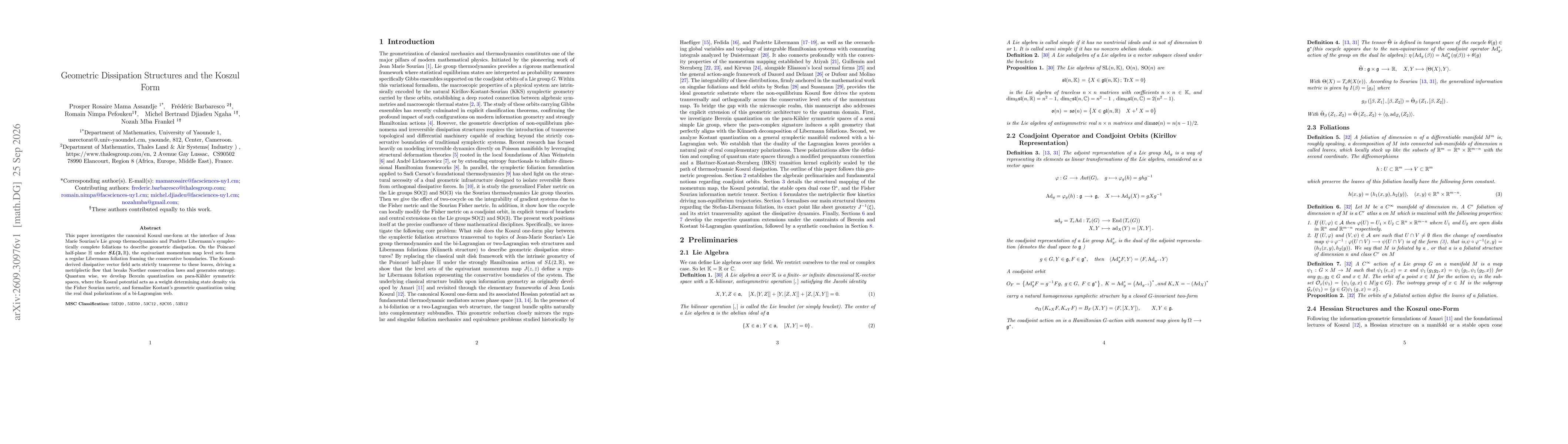 Thumbnail for Geometric Dissipation Structures and the Koszul Form
