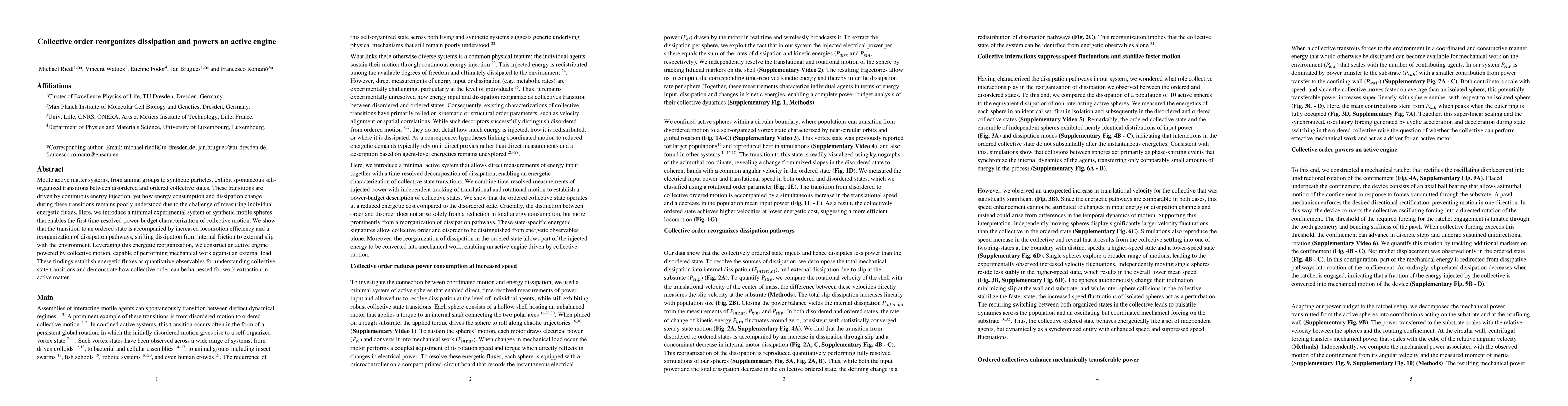 Thumbnail for Collective order reorganizes dissipation and powers an active engine