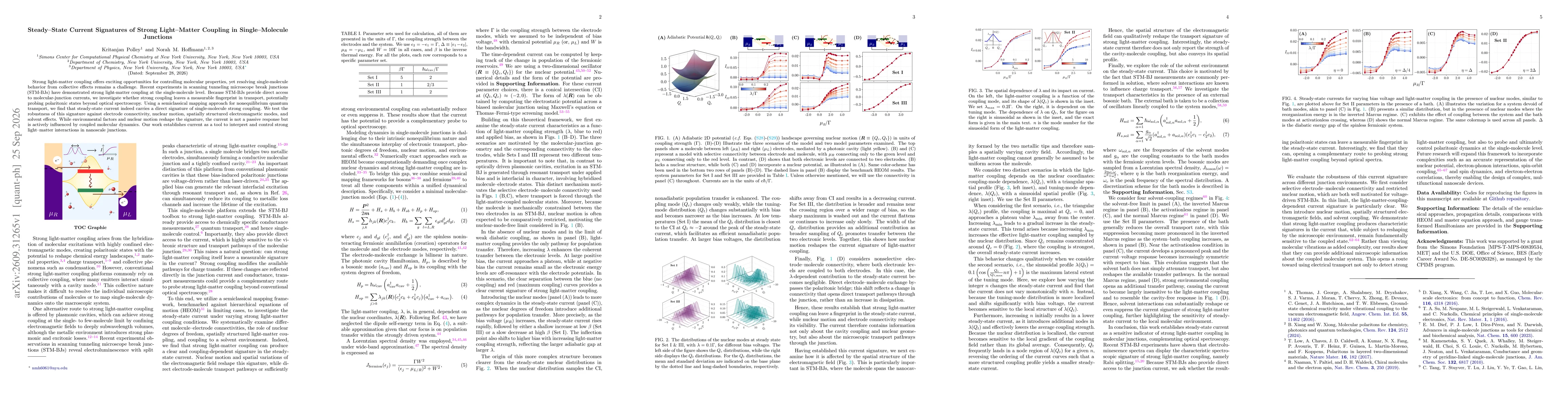 Thumbnail for Steady--State Current Signatures of Strong Light--Matter Coupling in Single--Molecule Junctions