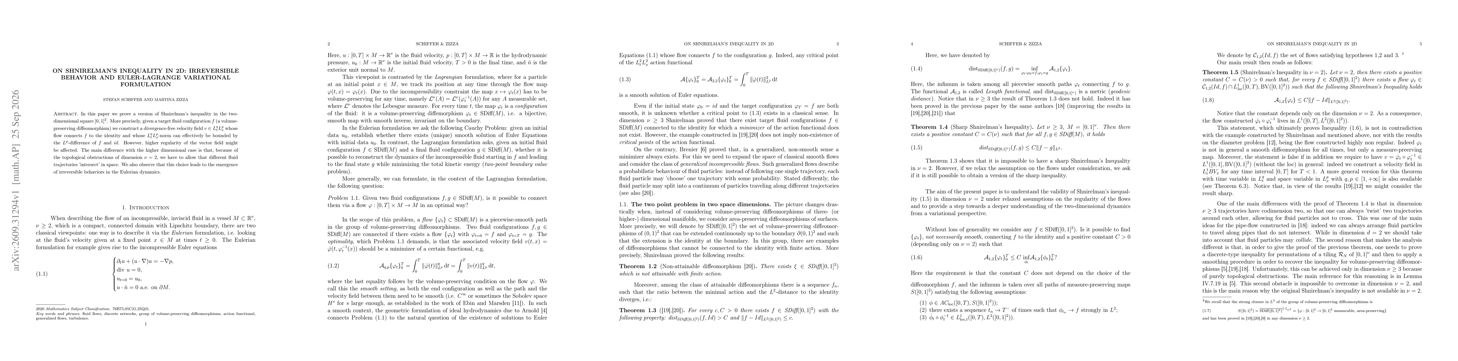 Thumbnail for On Shnirelman's inequality in 2D: Irreversible behavior and Euler-Lagrange variational formulation