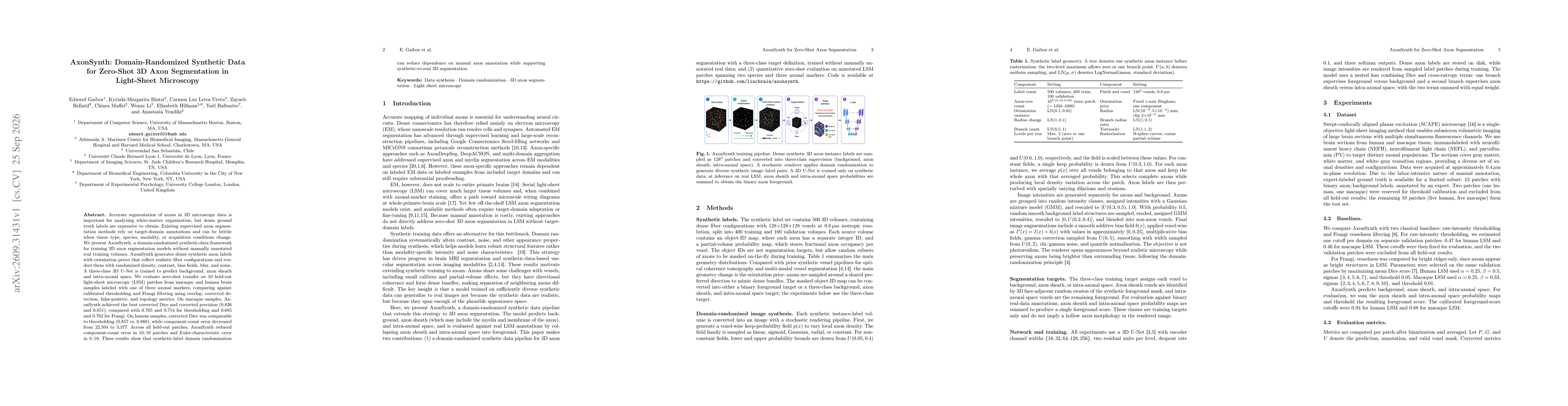 Thumbnail for AxonSynth: Domain-Randomized Synthetic Data for Zero-Shot 3D Axon Segmentation in Light-Sheet Microscopy