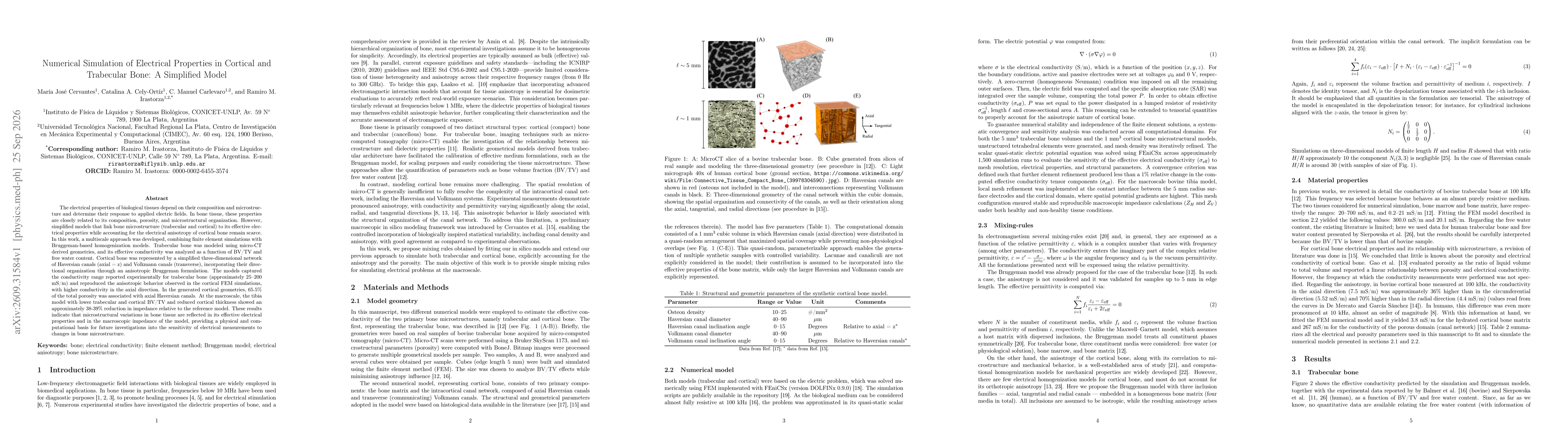 Thumbnail for Numerical Simulation of Electrical Properties in Cortical and Trabecular Bone: A Simplified Model