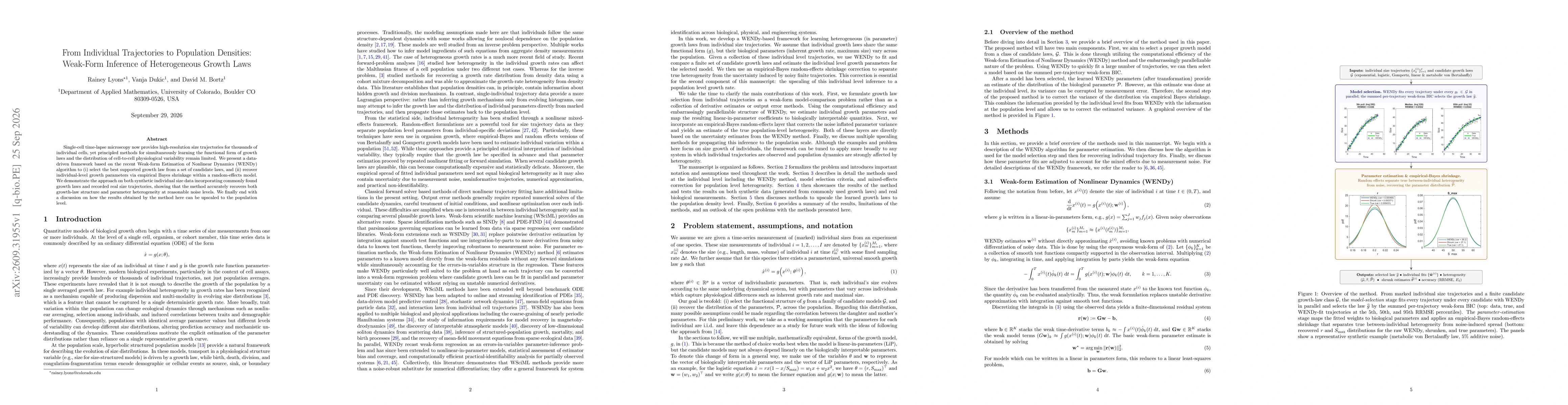 Thumbnail for From Individual Trajectories to Population Densities: Weak-Form Inference of Heterogeneous Growth Laws