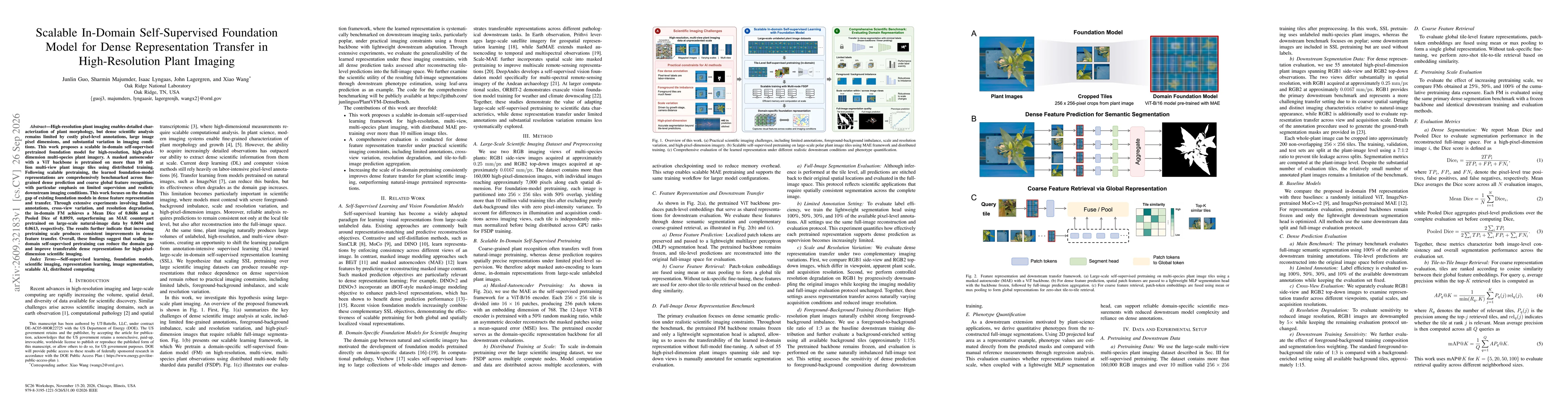 Thumbnail for Scalable In-Domain Self-Supervised Foundation Model for Dense Representation Transfer in High-Resolution Plant Imaging