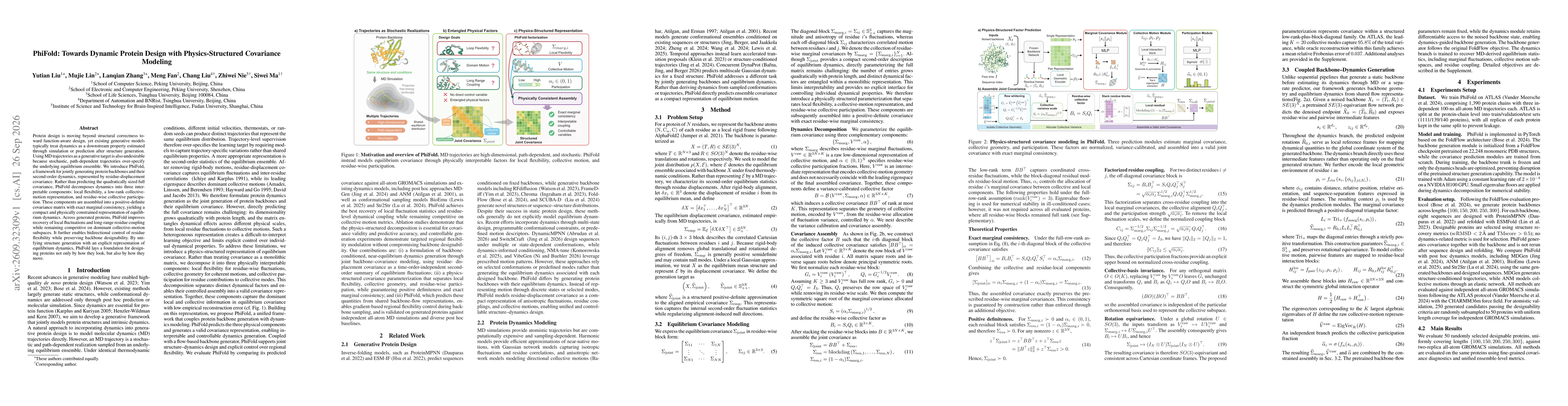 Thumbnail for PhiFold: Towards Dynamic Protein Design with Physics-Structured Covariance Modeling