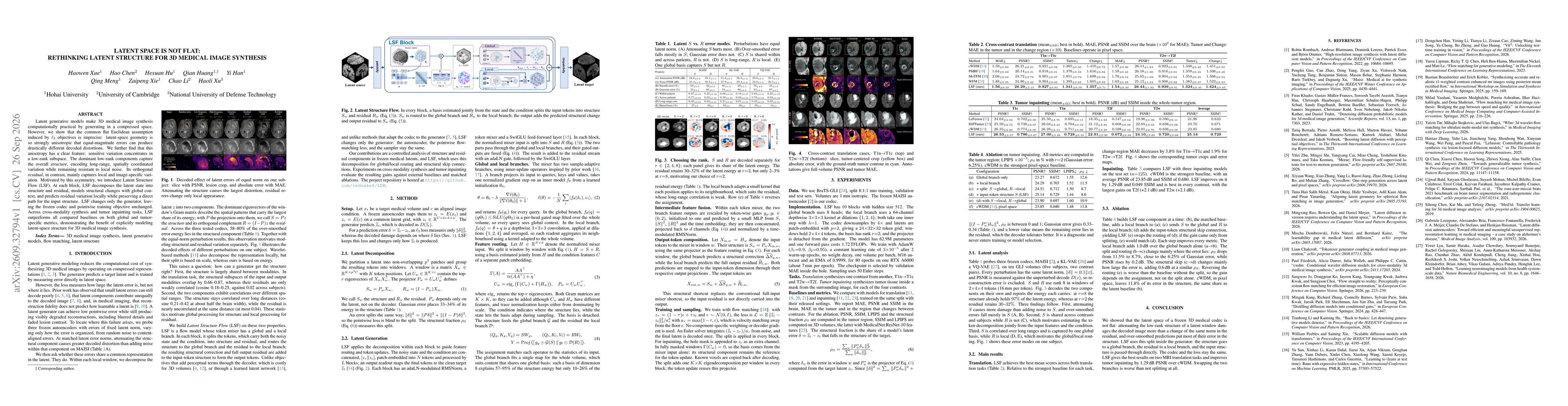 Thumbnail for Latent Space Is Not Flat: Rethinking Latent Structure for 3D Medical Image Synthesis