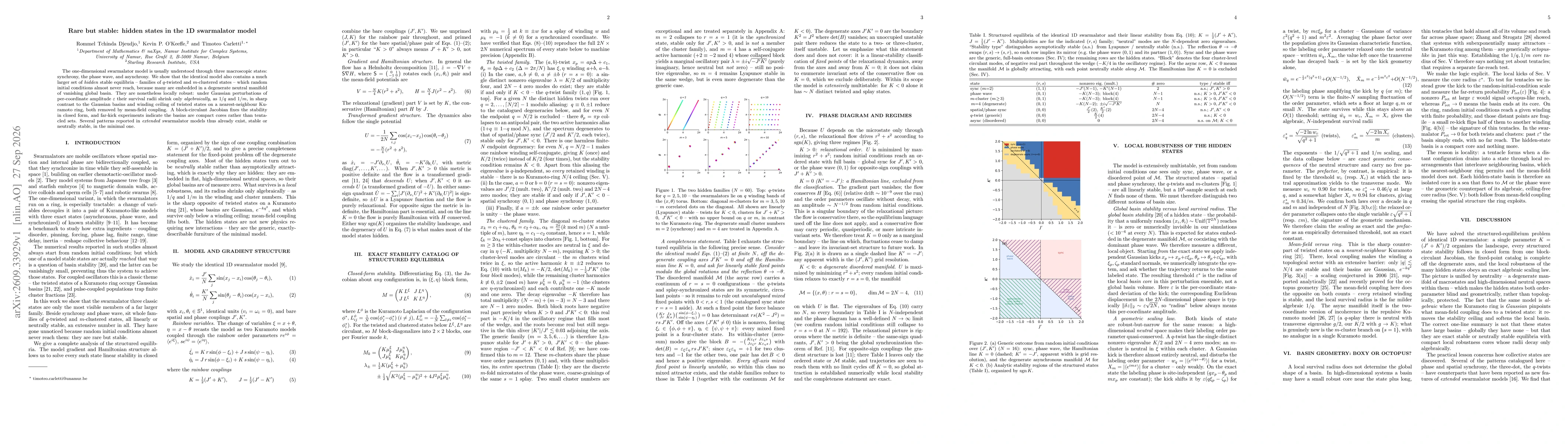 Thumbnail for Rare but stable: hidden states in the 1D swarmalator model