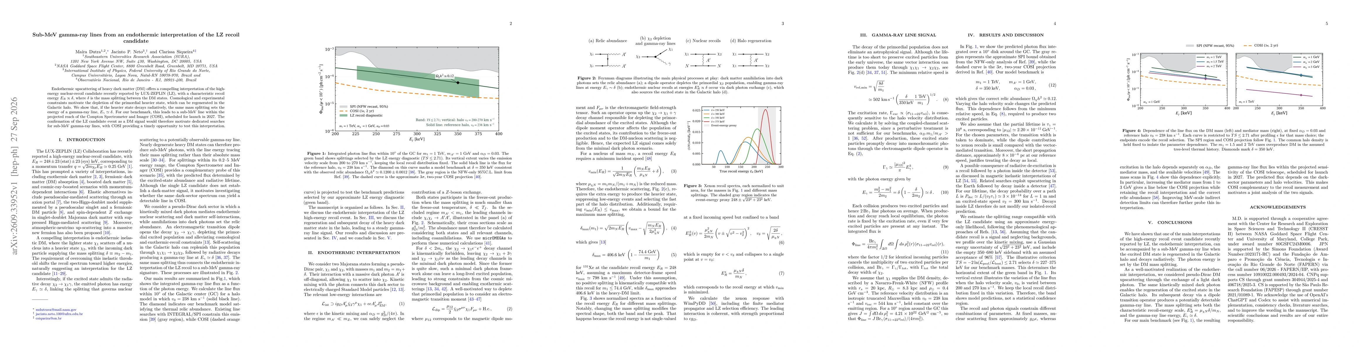 Thumbnail for Sub-MeV gamma-ray lines from an endothermic interpretation of the LZ recoil candidate