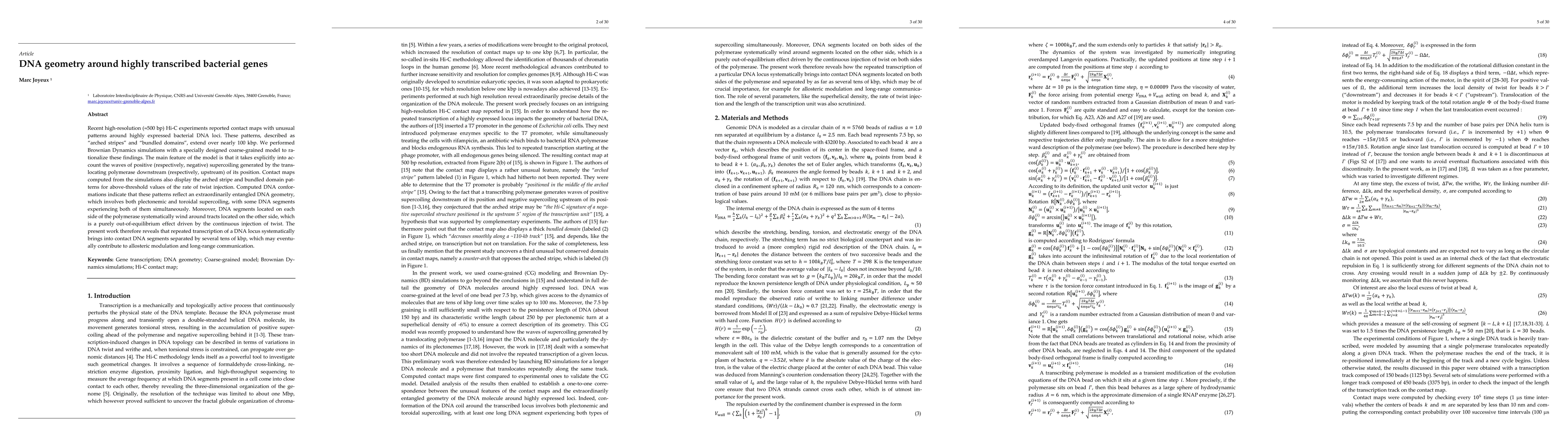 Thumbnail for DNA geometry around highly transcribed bacterial genes