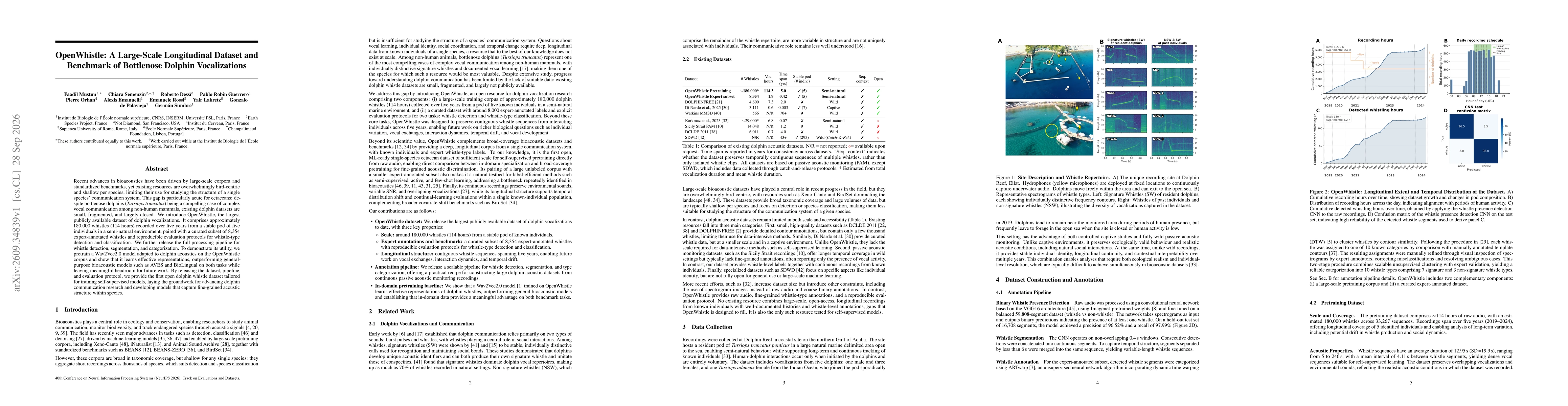 Thumbnail for OpenWhistle: A Large-Scale Longitudinal Dataset and Benchmark of Bottlenose Dolphin Vocalizations