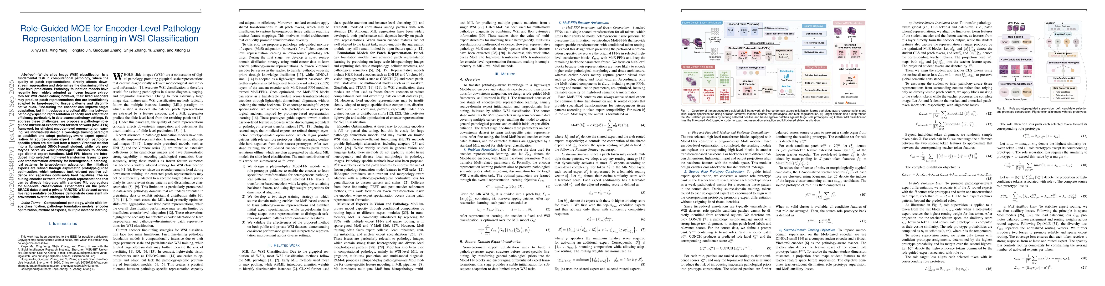 Thumbnail for Role-Guided MOE for Encoder-Level Pathology Representation Learning in WSI Classification