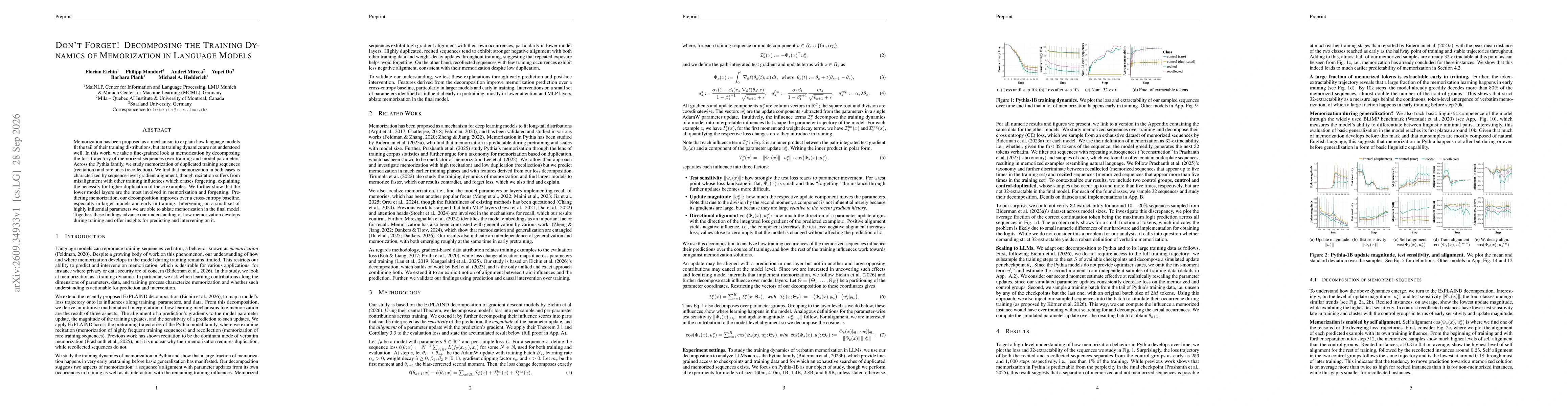 Thumbnail for Don't Forget! Decomposing the Training Dynamics of Memorization in Language Models