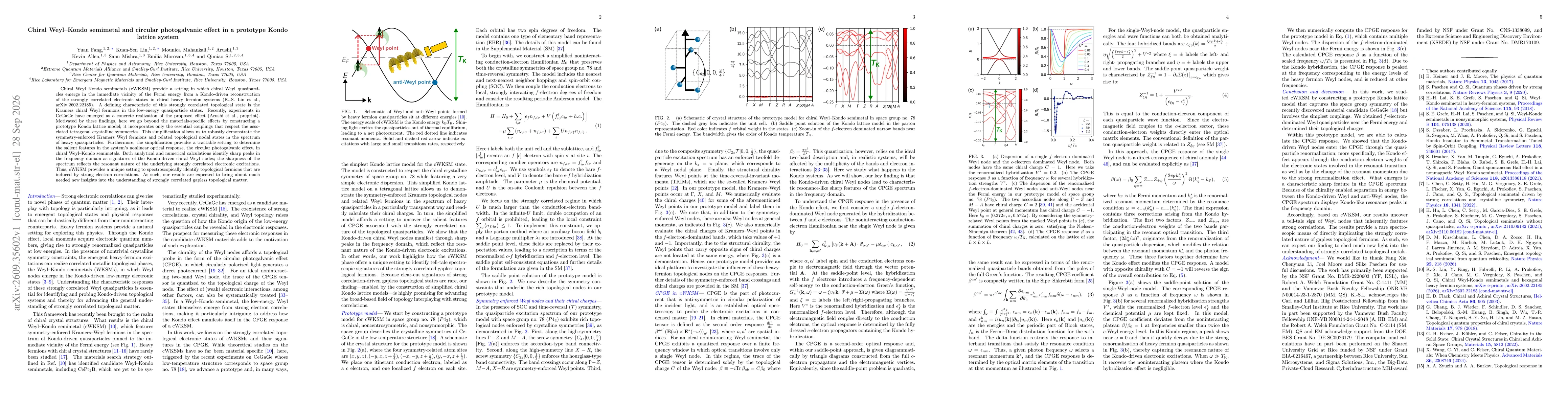 Thumbnail for Chiral Weyl--Kondo semimetal and circular photogalvanic effect in a prototype Kondo lattice system