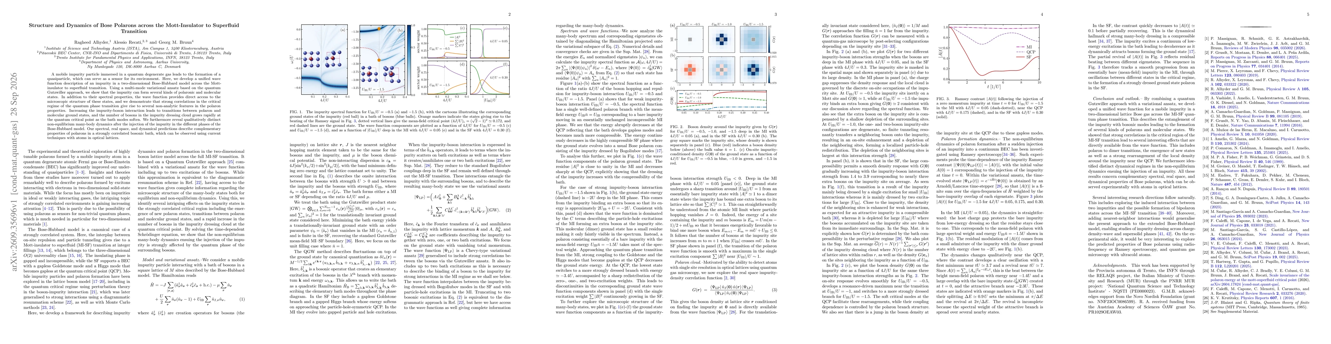 Thumbnail for Structure and Dynamics of Bose Polarons across the Mott-Insulator to Superfluid Transition