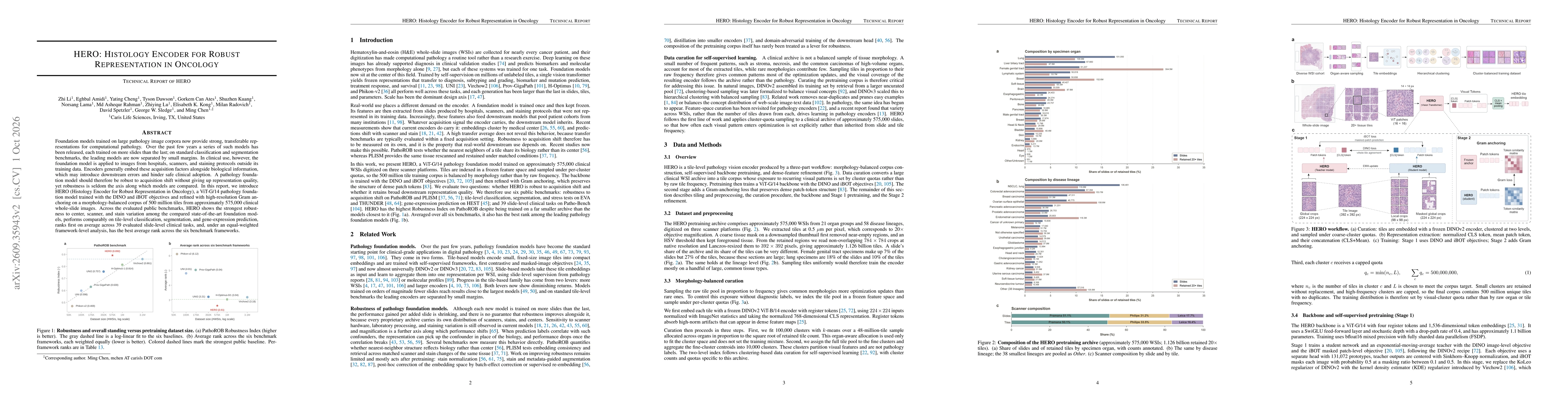 Thumbnail for HERO: Histology Encoder for Robust Representation in Oncology