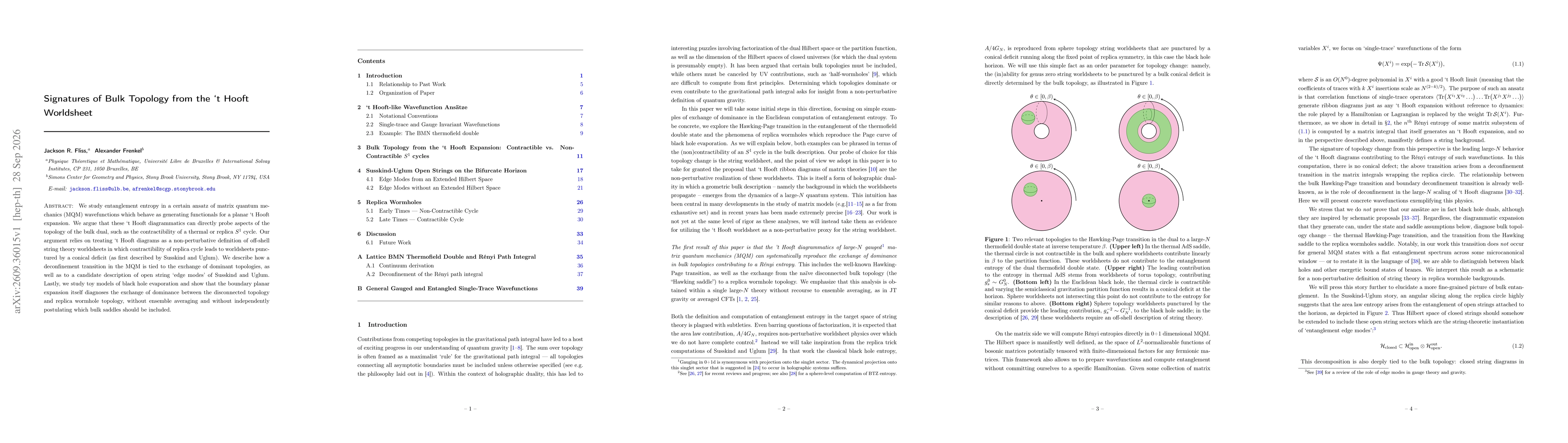 Thumbnail for Signatures of Bulk Topology from the 't Hooft Worldsheet